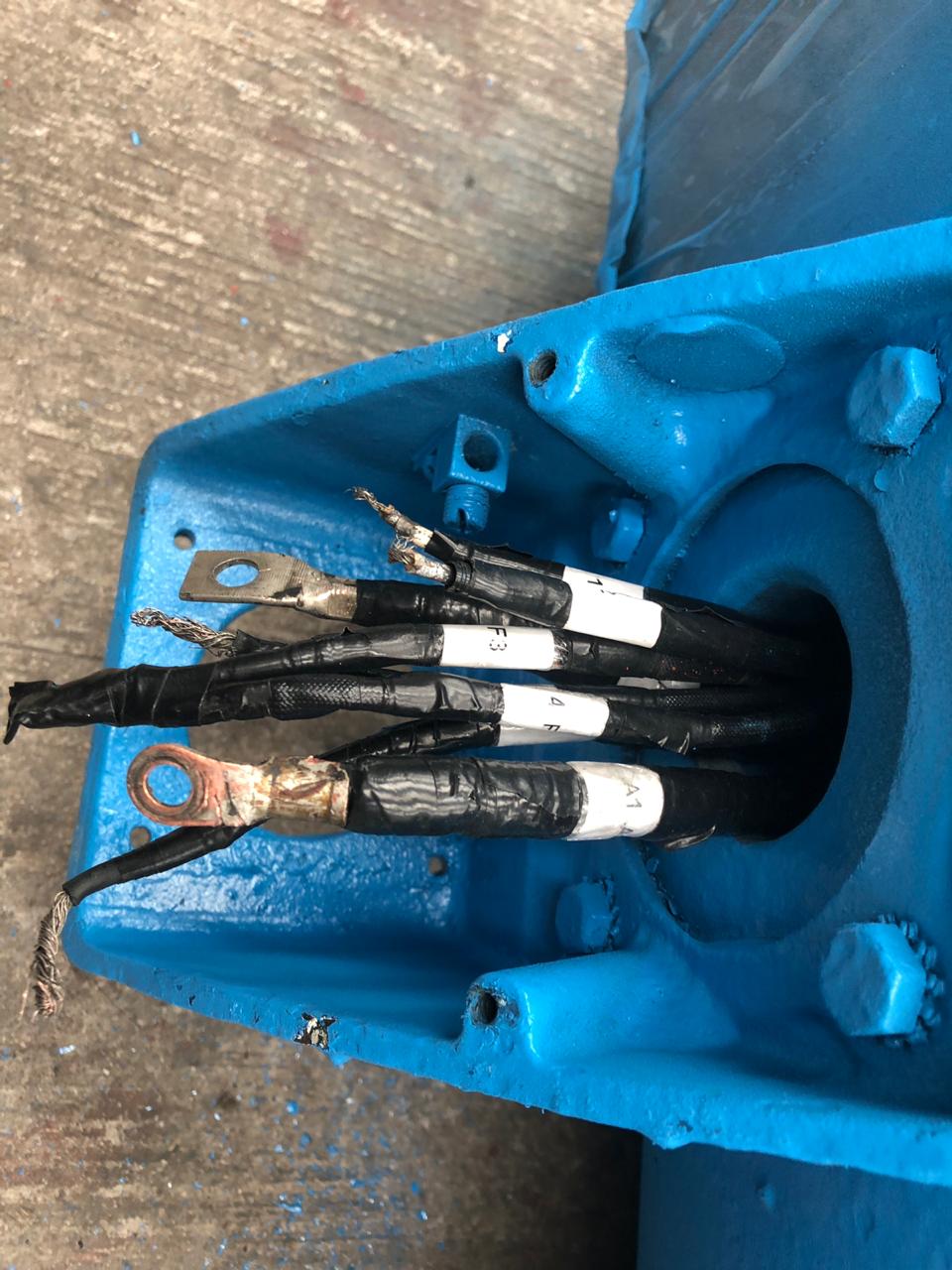 Motor de Corriente Directa 40 HP Burton Industries 5CD184TA013A098