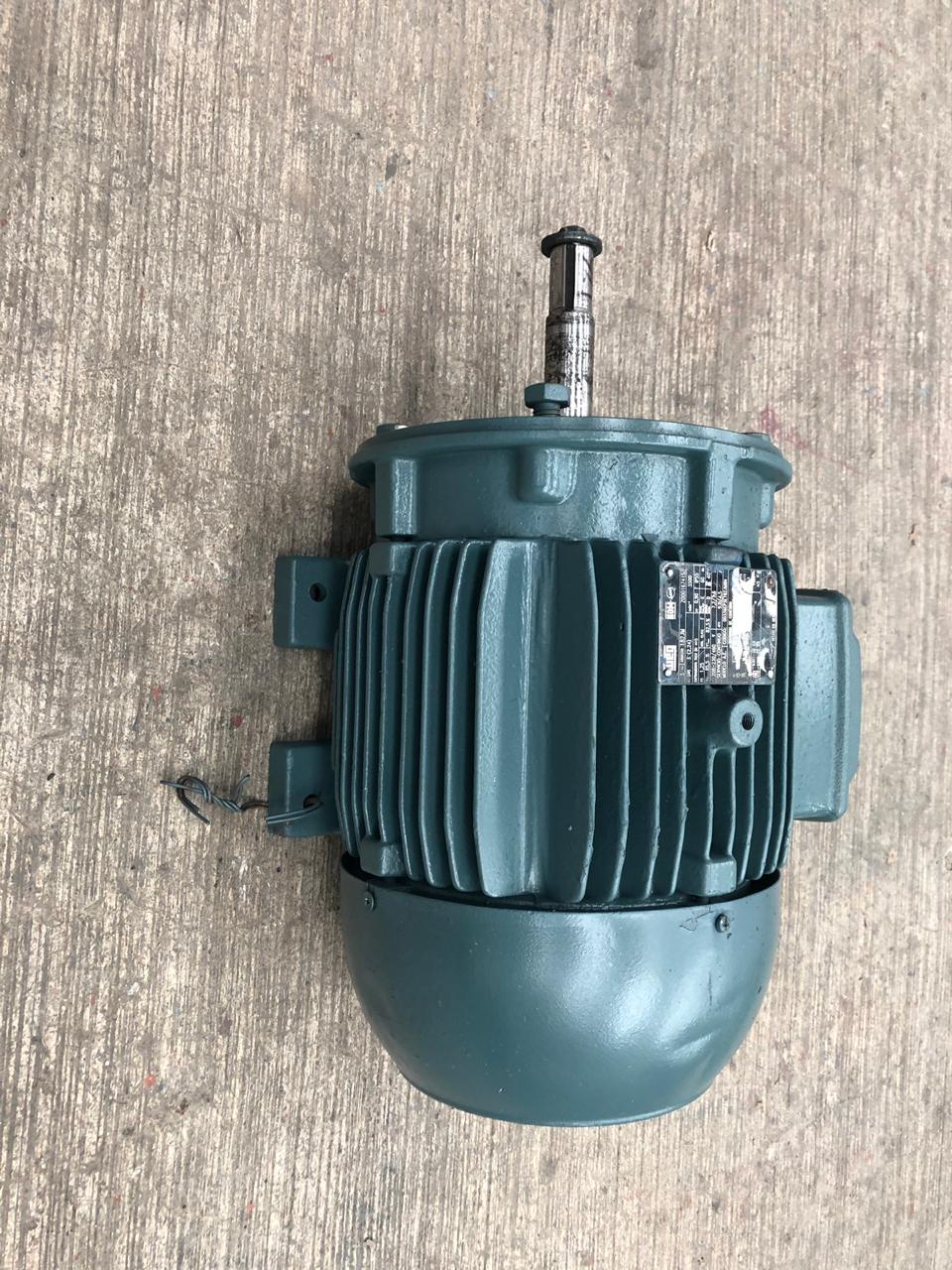 Motor de Corriente Alterna 3 HP WEG 00336EP3E1182JM8N