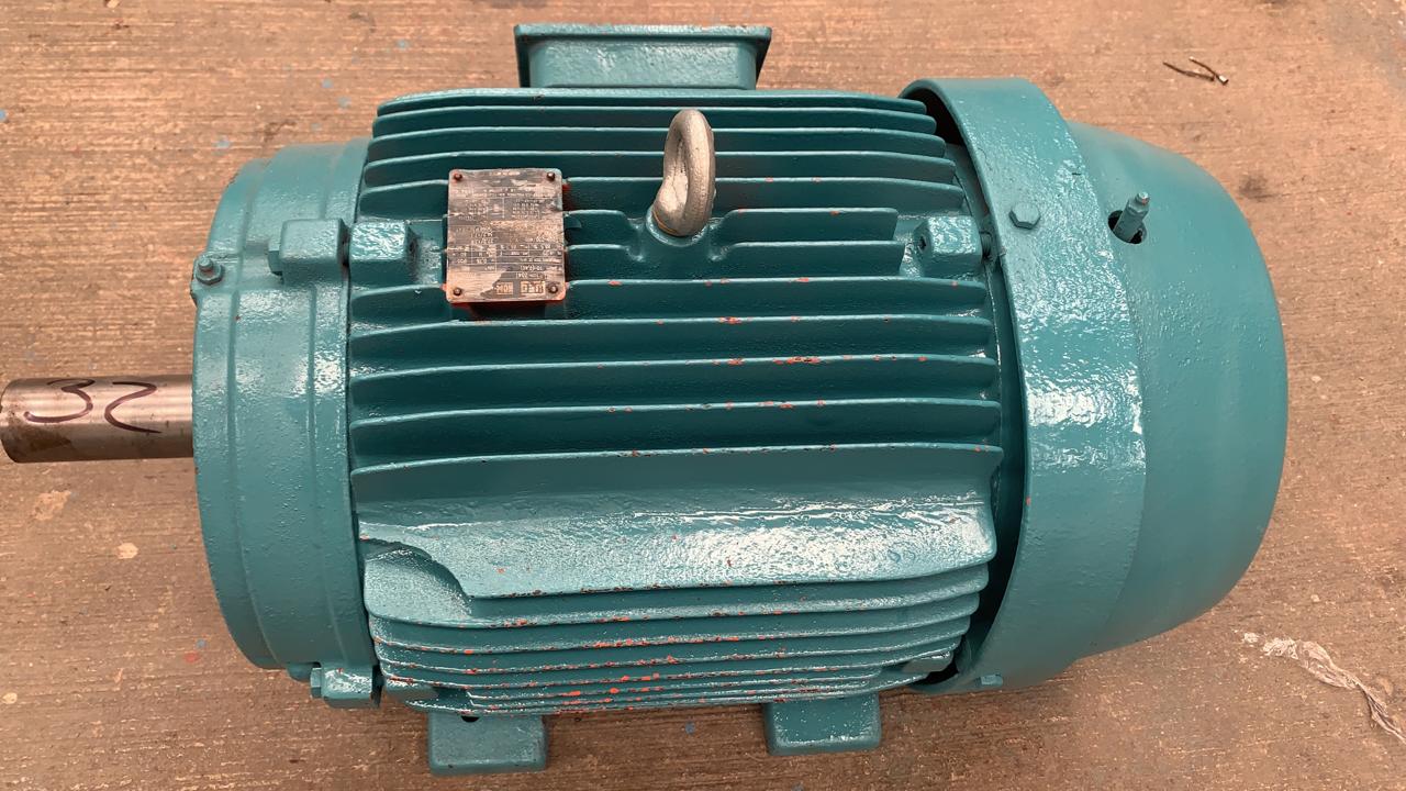 Motor de Corriente Alterna 10 HP Weg 01009EP3E284T