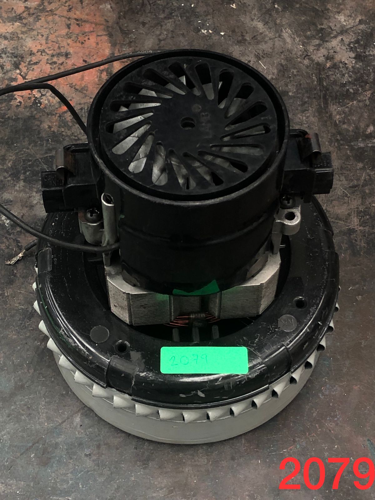 Motor Lamb Electric/Ametek 116336-01